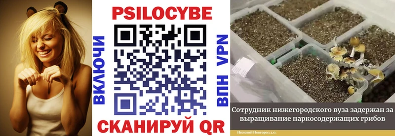 Галлюциногенные грибы ЛСД  Назарово 