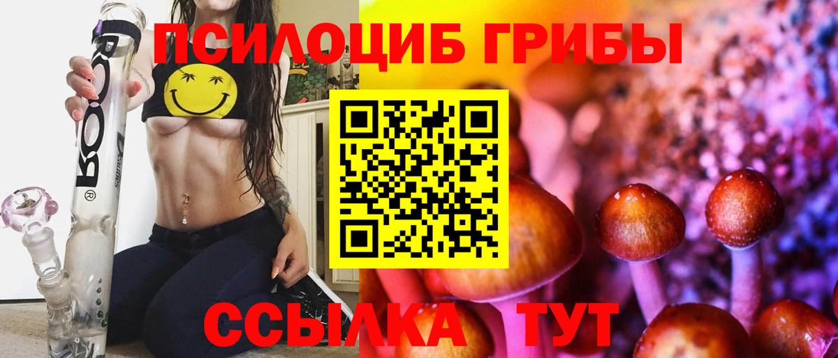 хочу   Назарово  Псилоцибиновые грибы мицелий  Галлюциногенные грибы мицелий 